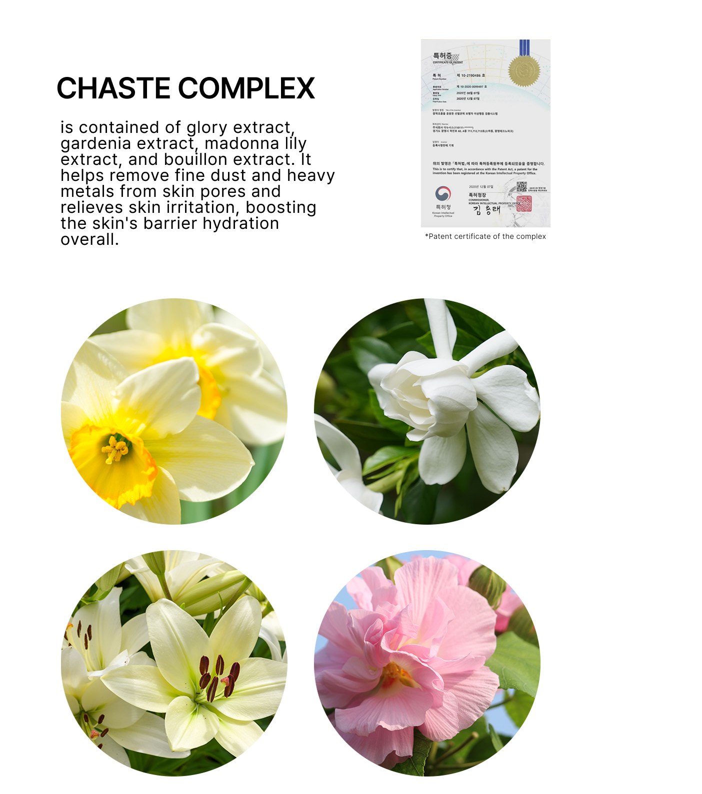 Moisture Booster Gel
